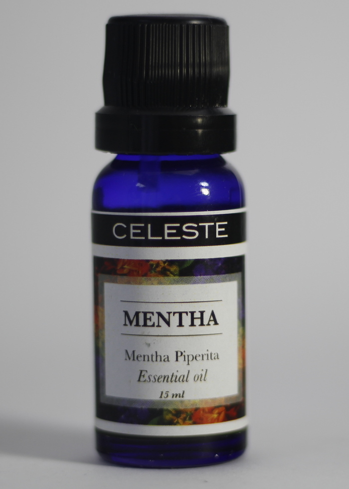 Mentha Mentha