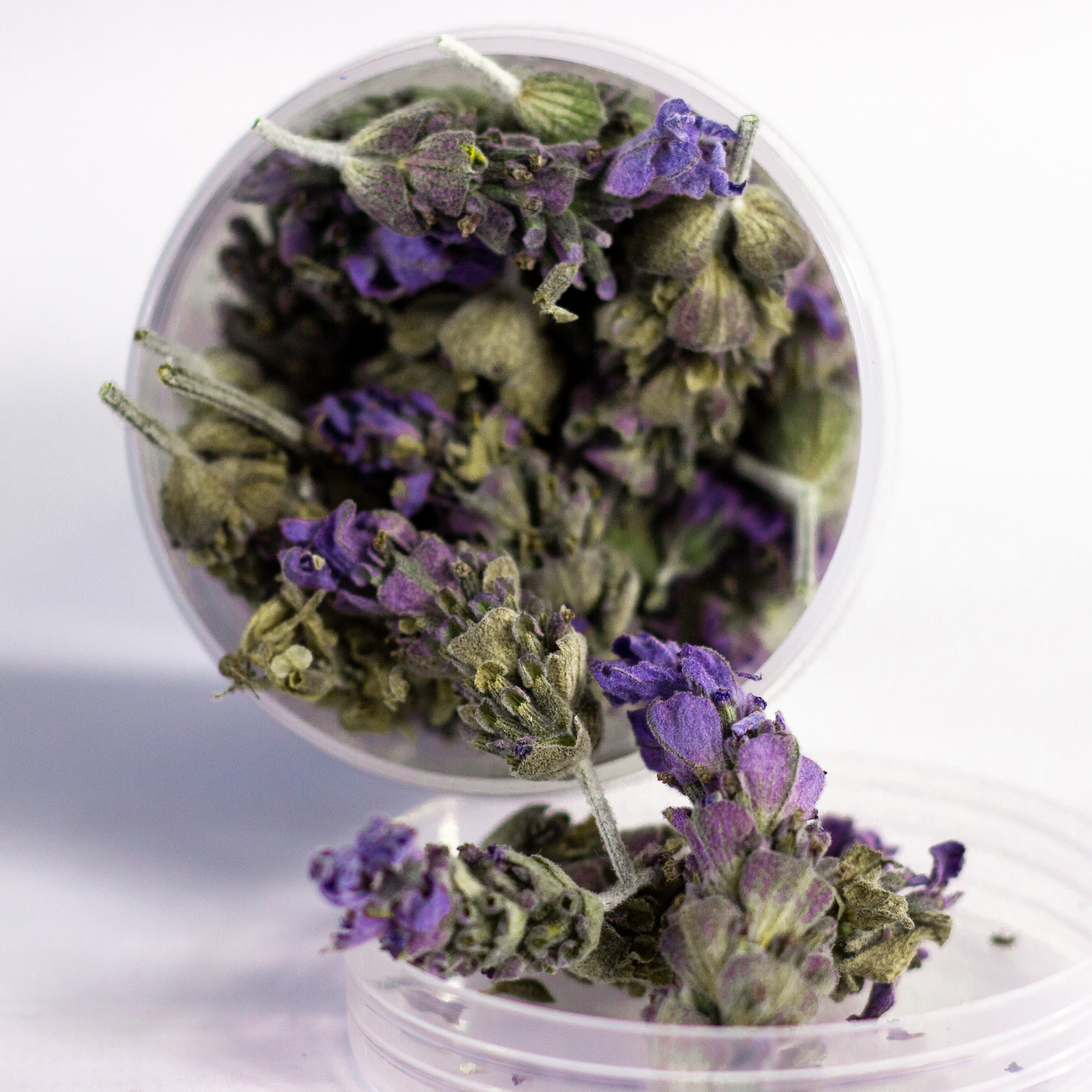 Flores de Lavanda orgánica Flores de Lavanda orgánica