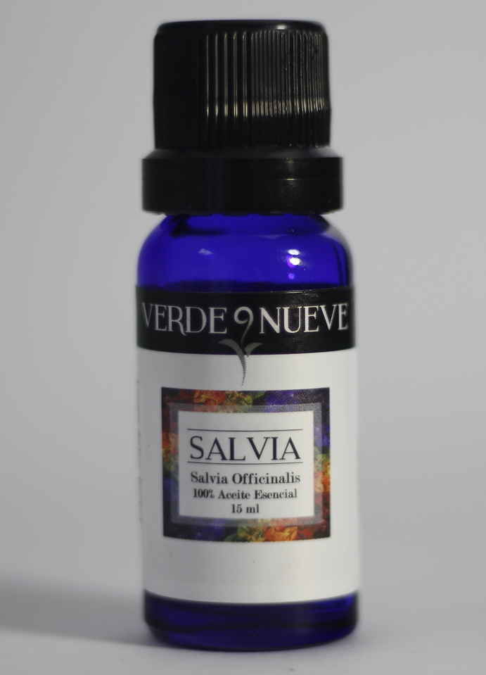Salvia Silvestre Salvia Silvestre